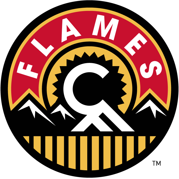 Calgary Flames 2013-2016 Alternate Logo iron on transfers for fabric